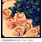Nom du fichier=RepasMealsTwitter_03.jpg
Taille du fichier=132Ko
Dimensions : 600x900
Ajouté le : 01 Avril 2012 RepasMealsTwitter_03.jpg
