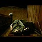 PDVD_322.JPG