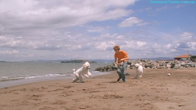 Cliquer pour voir l'image en taille réelle