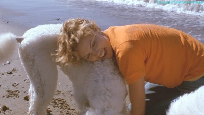 Cliquer pour voir l'image en taille réelle