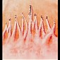 Nom du fichier=madmax-posterposse1-full.jpg
Taille du fichier=74Ko
Dimensions : 599x783
Ajouté le : 18 Mars 2015 madmax-posterposse1-full.jpg