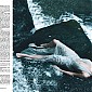 VogueUSdec11_04.jpg