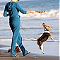surlaplageavecdogsetmom_04.jpg