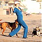 surlaplageavecdogsetmom_05.jpg