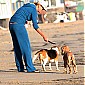 surlaplageavecdogsetmom_09.jpg
