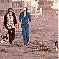 surlaplageavecdogsetmom_18.jpg