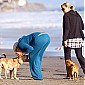 surlaplageavecdogsetmom_20.jpg