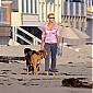 Nom du fichier=onthebeachwithherdoginLosAngeles16aout_07.jpg
Taille du fichier=333Ko
Dimensions : 1591x1500
Ajouté le : 17 Août 2009 onthebeachwithherdoginLosAngeles16aout_07.jpg