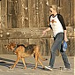 walksherdogsonthebeachinMalibuFeb27_01.jpg