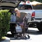 shoppinginHollywood_01.jpg