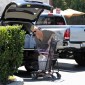 Nom du fichier=shoppinginHollywood_04.jpg
Taille du fichier=451Ko
Dimensions : 1649x1300
Ajouté le : 22 Août 2010 shoppinginHollywood_04.jpg