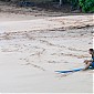 Nom du fichier=seenenjoyingthesunsetwithafriendinHawaii_06.jpg
Taille du fichier=478Ko
Dimensions : 1950x1300
Ajouté le : 04 Janvier 2014 seenenjoyingthesunsetwithafriendinHawaii_06.jpg