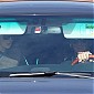 CharlizeTheron_MakesStarbucksRun_13.jpg