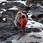 OnbeachwithSeanandJackson_16.jpg
