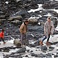 Nom du fichier=OnbeachwithSeanandJackson_41.jpg
Taille du fichier=806Ko
Dimensions : 1950x1302
Ajouté le : 05 Février 2014 OnbeachwithSeanandJackson_41.jpg