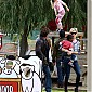 UnderwoodFamilyFarminMoorpark_46.JPG