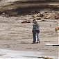 Nom du fichier=CTSeanPennMalibu11mars_05.jpg
Taille du fichier=517Ko
Dimensions : 1950x1249
Ajouté le : 14 Mars 2014 CTSeanPennMalibu11mars_05.jpg