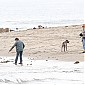 Nom du fichier=CTSeanPennMalibu11mars_31.jpg
Taille du fichier=566Ko
Dimensions : 1950x1302
Ajouté le : 14 Mars 2014 CTSeanPennMalibu11mars_31.jpg