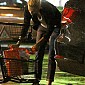 Nom du fichier=charlize-theron-jackson-day-out63.jpg
Taille du fichier=951Ko
Dimensions : 1300x1950
Ajouté le : 01 Février 2015 charlize-theron-jackson-day-out63.jpg