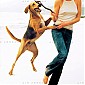 Nom du fichier=Charlize-Theron-025.jpg
Taille du fichier=51Ko
Dimensions : 373x600
Ajouté le : 05 Avril 2014 Charlize-Theron-025.jpg