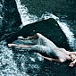 AnnieLeibovitz2011_04.jpg