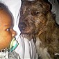 Nom du fichier=Capt__H170534_079.jpg
Taille du fichier=118Ko
Dimensions : 1304x727
Ajouté le : 01 Mai 2013 Capt__H170534_079.jpg